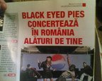 Black Eyed Pies