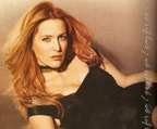 gillian anderson in maxim 4