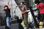 bestfest2k9_leselephantsbizzare4_foto_alex_barbulescu