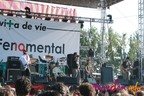 img_0800-copy