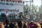 img_0802-copy