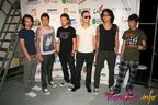 animal-x-callatis-3