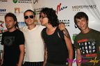 animal-x-callatis-4