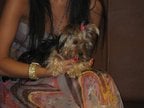 img_0691
