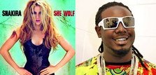 Shakira feat. T-Pain - She Wolf (Remix)