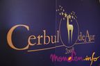 tiziano-ferro-cerbul-de-aur-8