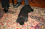 neylini-vizita-profesoara-de-canto-16