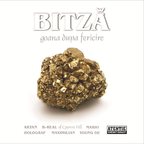 Concurs: 5 albume BITZA "Goana dupa fericire" + 4 invitatii la lansare