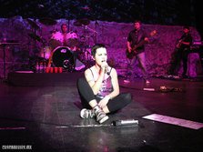 The Cranberries vine in Romania