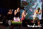 IMG_2734