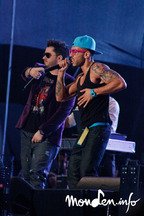 IMG_3378