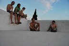 Animal X in Ibiza