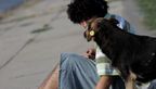 vlcsnap-2010-09-21-13h42m58s206
