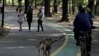 vlcsnap-2010-09-21-13h48m54s179