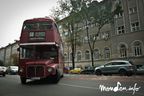Sedinta foto Wanda (10)