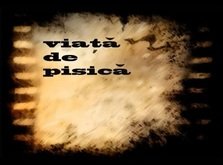 El Nino feat. Mr. Levy - Viata de pisica