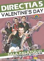 Reminder: Concert Directia 5 la Sala Palatului