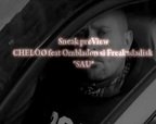 Sneak preView CHELOO feat Ombladon si Freakadadisk "SAU"