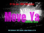 Fly DJ's feat. Jimmy Dub - Move Ya (Remix Pack)