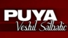 Premiera single: Puya - Vestul Salbatic