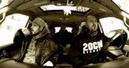 Videoclip: Cheloo feat. Ombladon & FDD - Sau