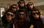 Videoclip: Bruno Mars - The Lazy Song