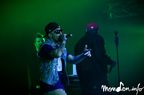 Concert_Voltaj_IWanna_Be_Free (11)