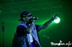 Concert_Voltaj_IWanna_Be_Free (12)