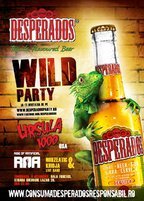 TIMISOARA: Desperados Wild Party! la Hala Fructus