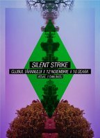 Turneu Silent Strike: Sibiu, Brasov, Bacau, Iasi si Bucuresti