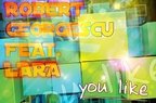 Dj Robert Georgescu & Lara - You Like (single nou)