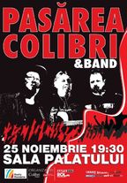 Concert Pasarea Colibri - 19 ani la Sala Palatului