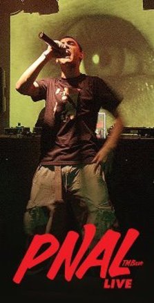 Concert PNaL (TMBase) in Setup la Timisoara