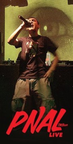 Concert PNaL (TMBase) in Setup la Timisoara