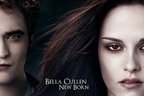 Premierele cinematografice ale saptamanii 18-24 noiembrie