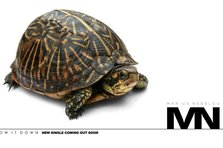 Teaser single nou Marius Nedelcu - Slow It Down