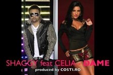 Shaggy feat. Celia - Dame (piesa noua)