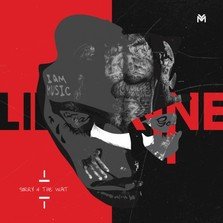 Lil Wayne - Sorry For The Wait (artwork mixtape)
