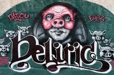 Teaser interviu: DELIRIC1