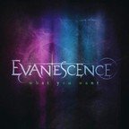Evanescence - What You Want (videoclip)
