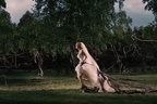 Recomandare: MELANCHOLIA