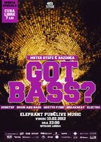 Got Bass? party in Elephant Pub