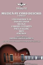 Stefan Banica, Paula Seling, Dan Bittman: Muzica pe cord deschis