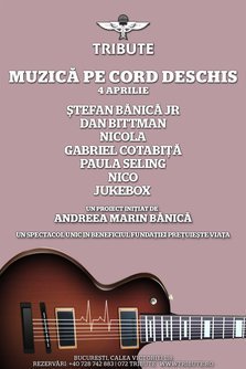 Stefan Banica, Paula Seling, Dan Bittman: Muzica pe cord deschis