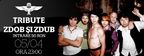 Concert Zdob si Zdub in Club Tribute