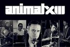 Concert Animal X - 13 ani in Club Tribute din Bucuresti!