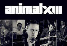 Concert Animal X - 13 ani in Club Tribute din Bucuresti!