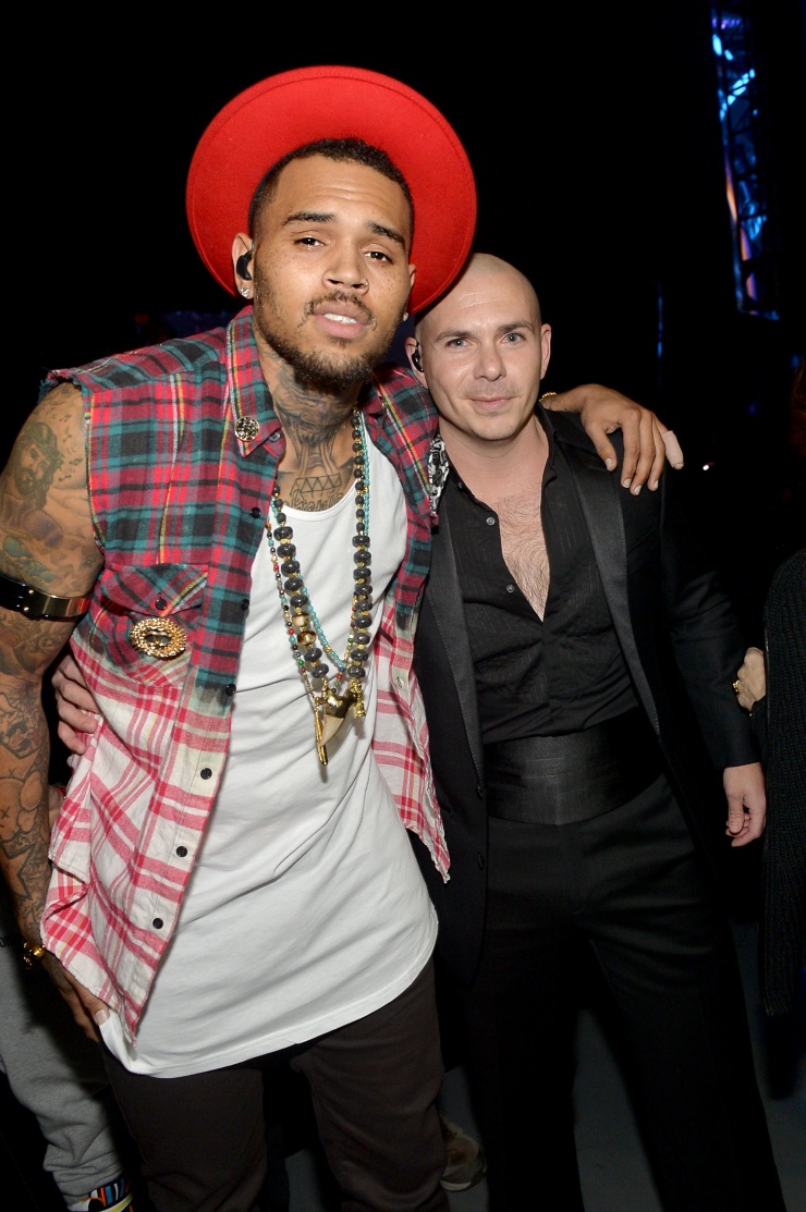 pitbull chris brown