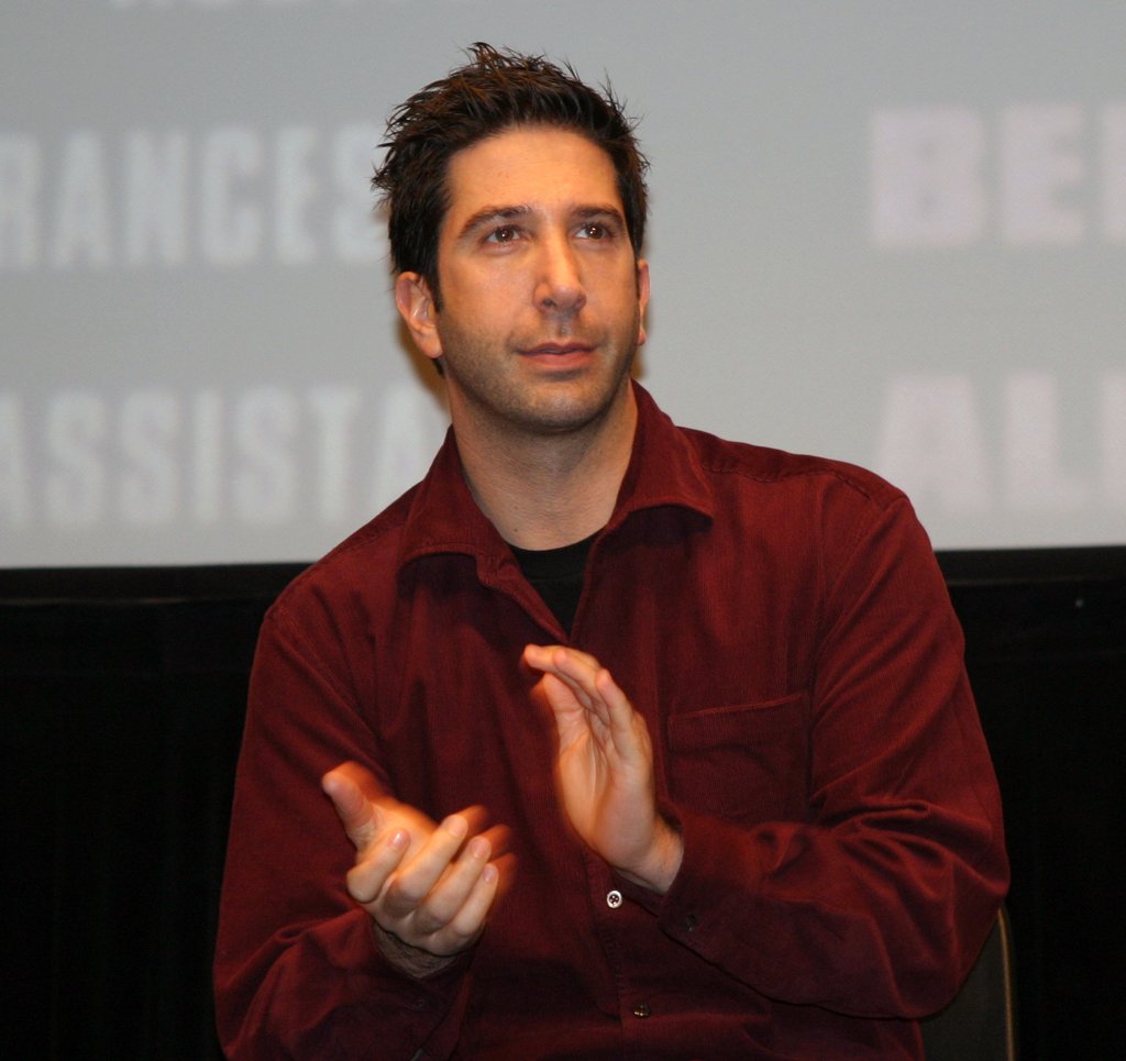 david_schwimmer1 david_schwimmer1