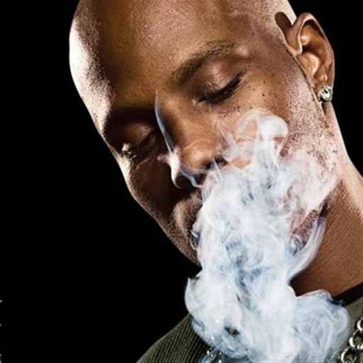 dmx dmx
